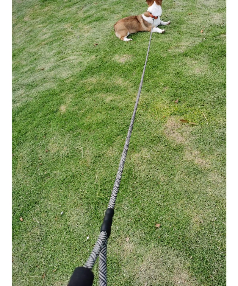 MayPaw 8FT Small Dog Leash, 1/4in Lightweight Strong Nylon Rope Puppy Leash with Comfortable Handle for Outdoor Walking Hiking (0~18lbs) - Image 5